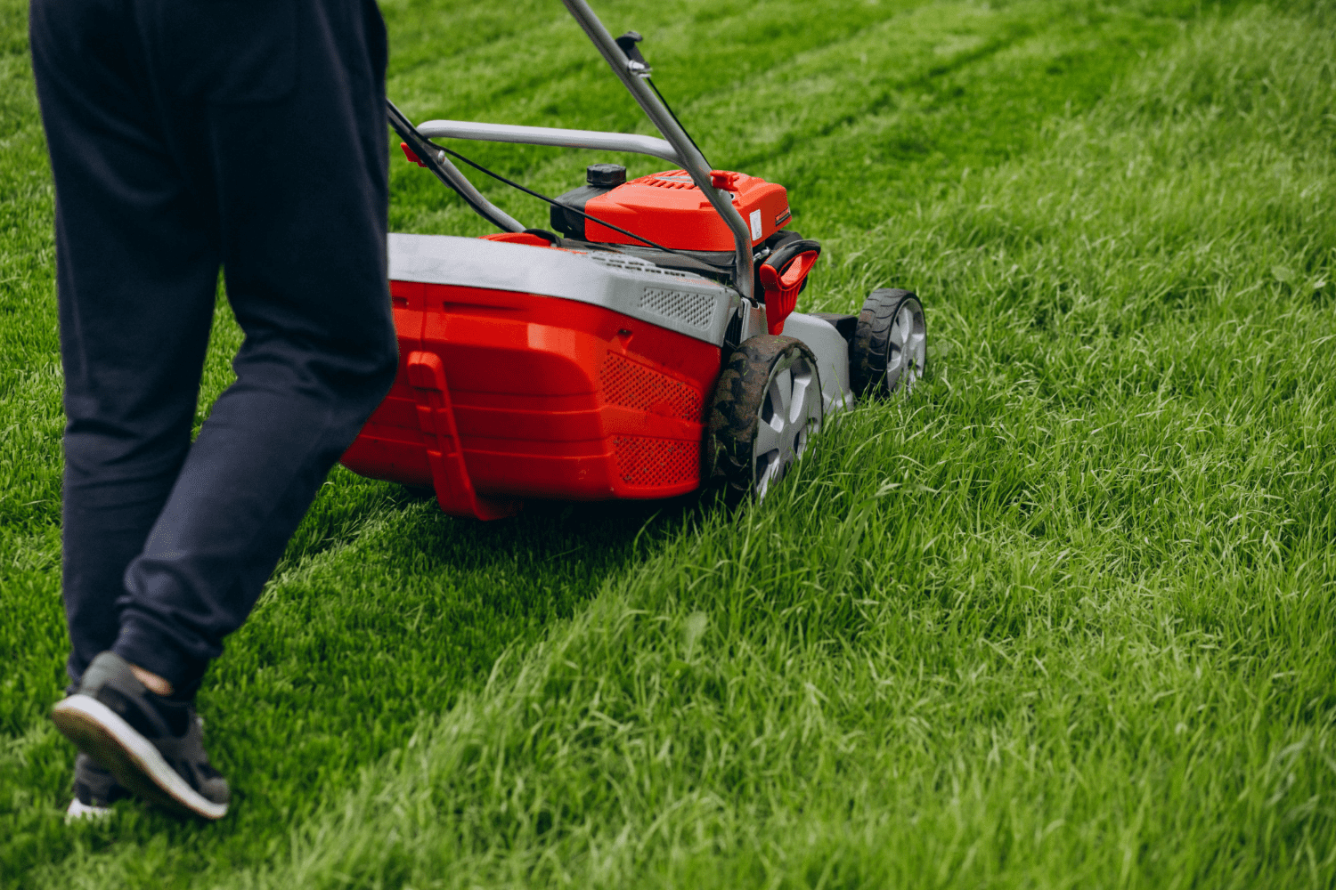 Commercial lawn mowing Auckland