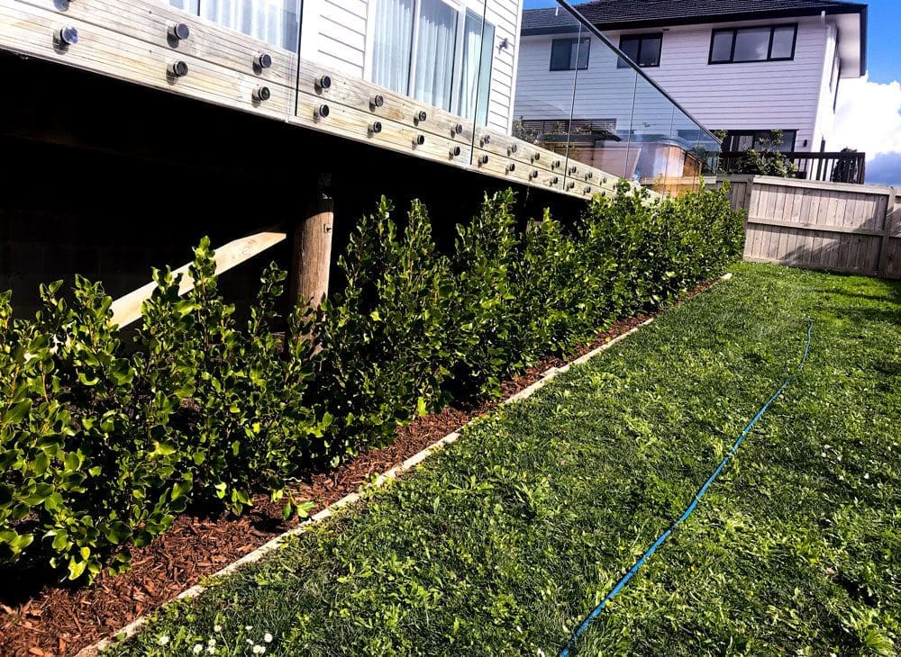 Range of Soft Landscaping Services