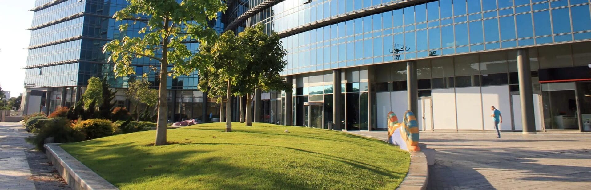 Arborist Services & Small Tree Pruning Auckland