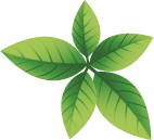 welocme-leaf