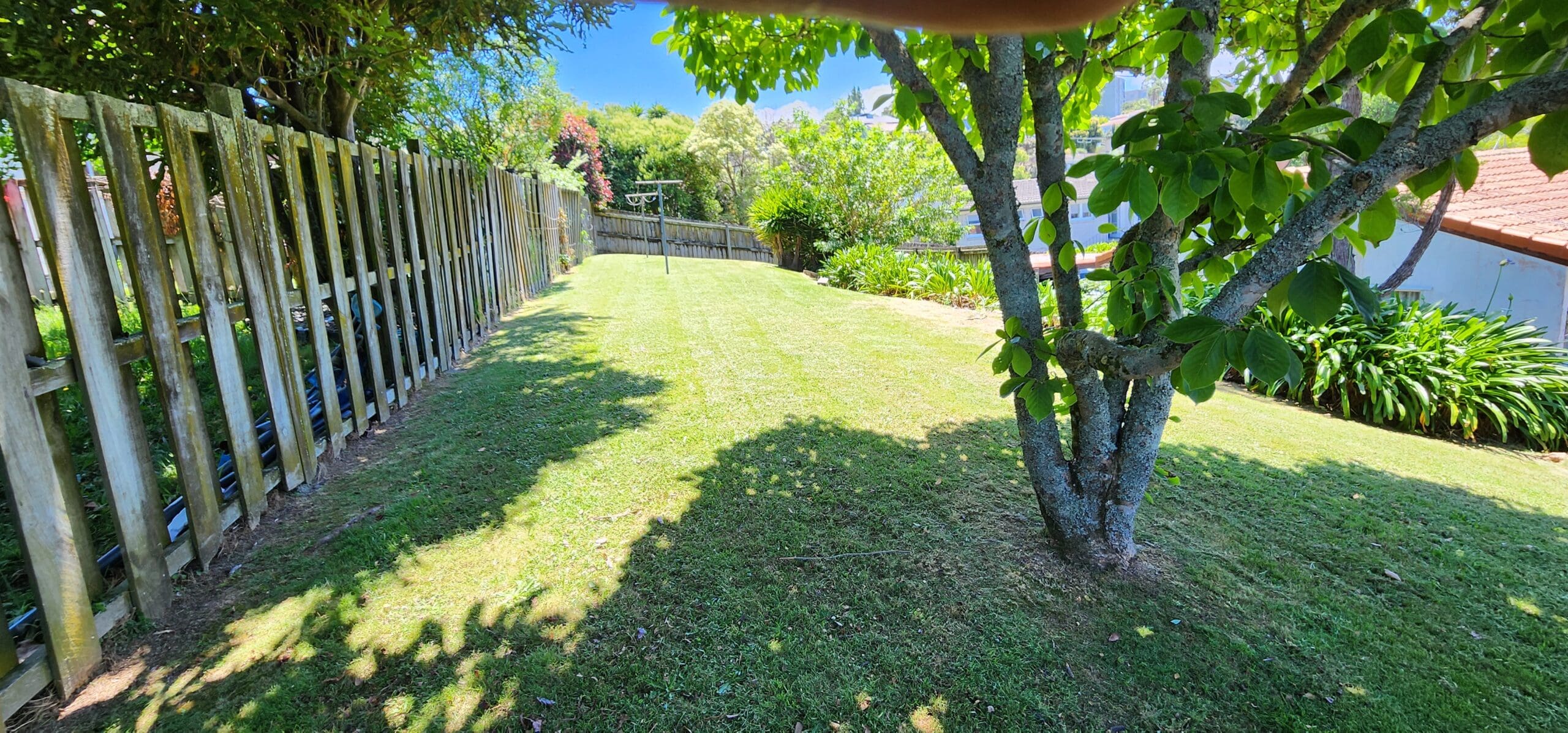 Arborist and small tree pruning services in Auckland