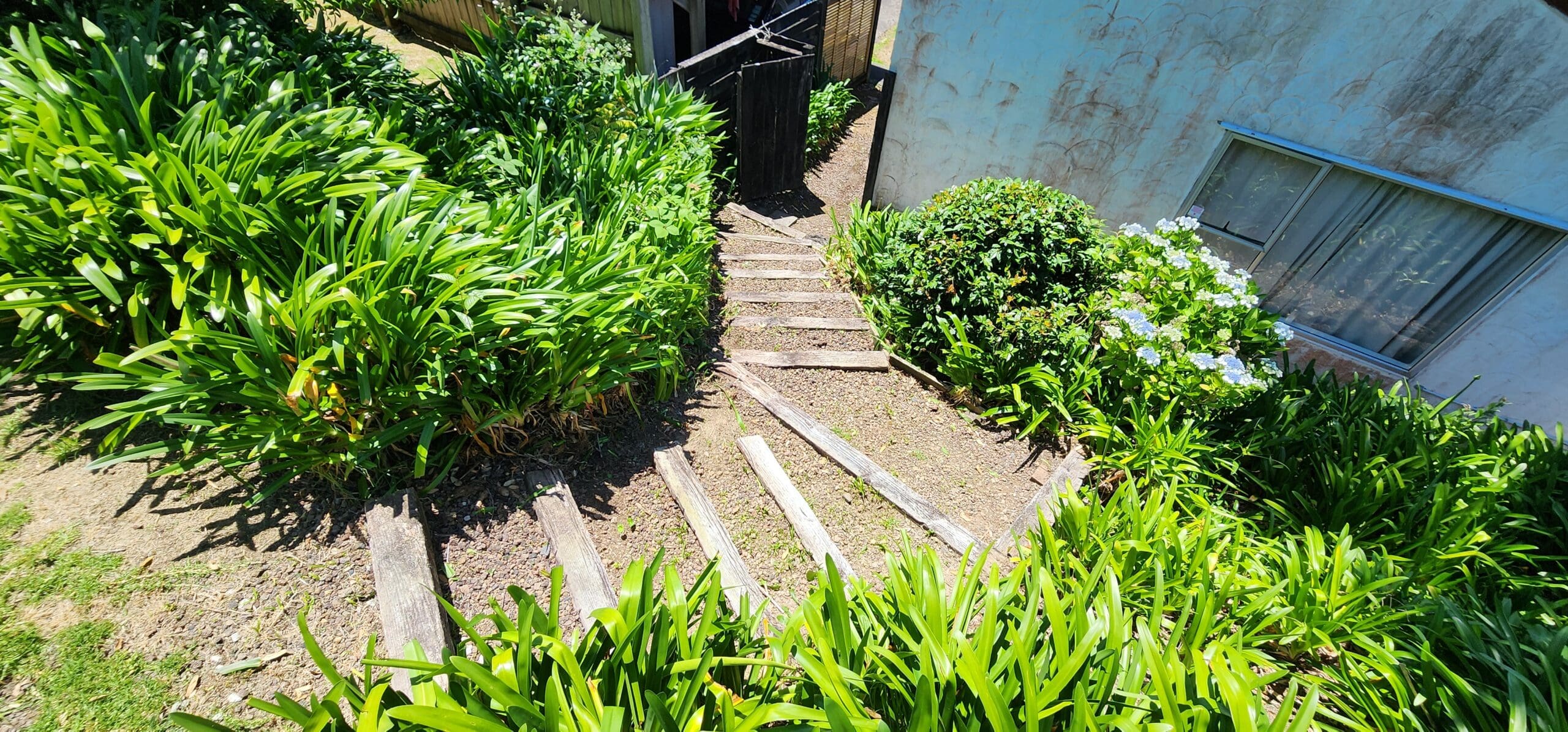 Commercial garden maintenance Auckland