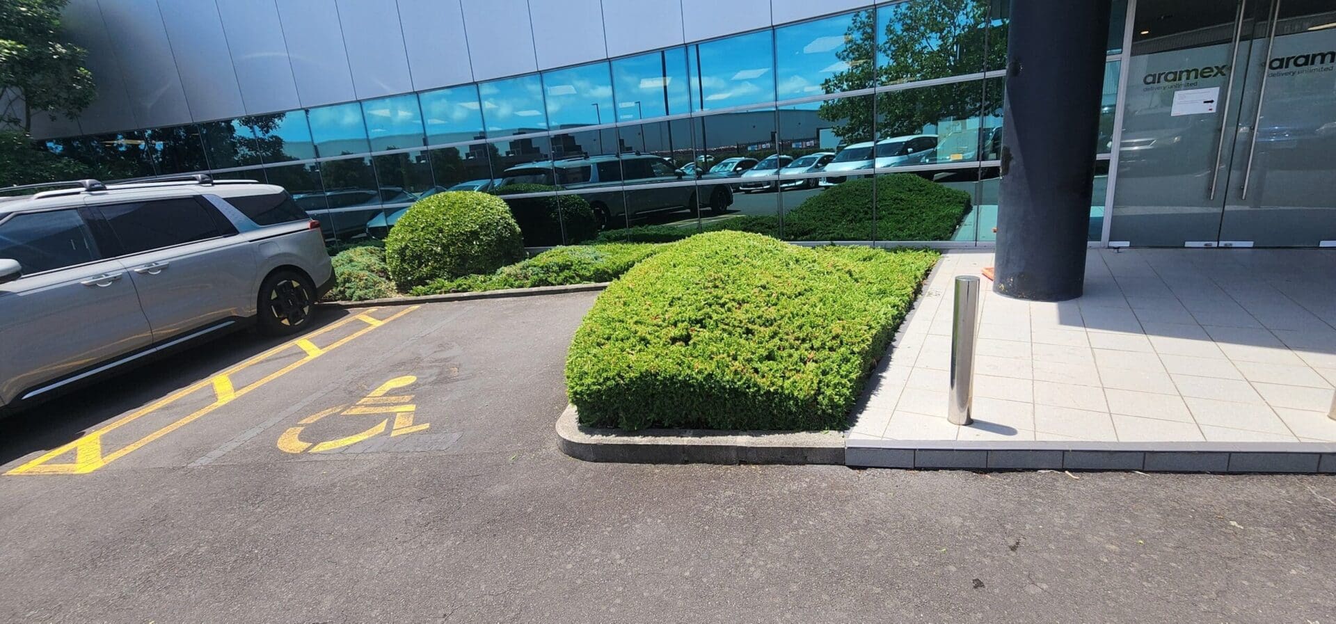 Maintained commercial shrubs and garden beds at an Auckland office entrance