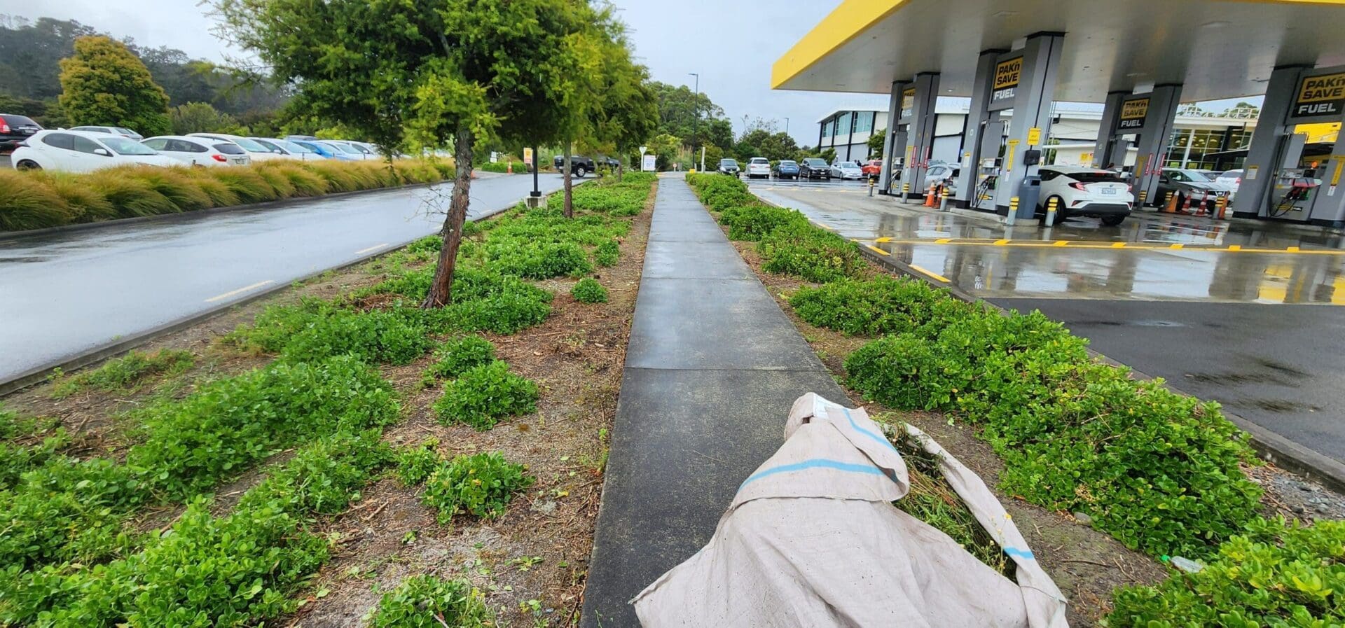 Commercial garden maintenance at a busy Auckland retail property