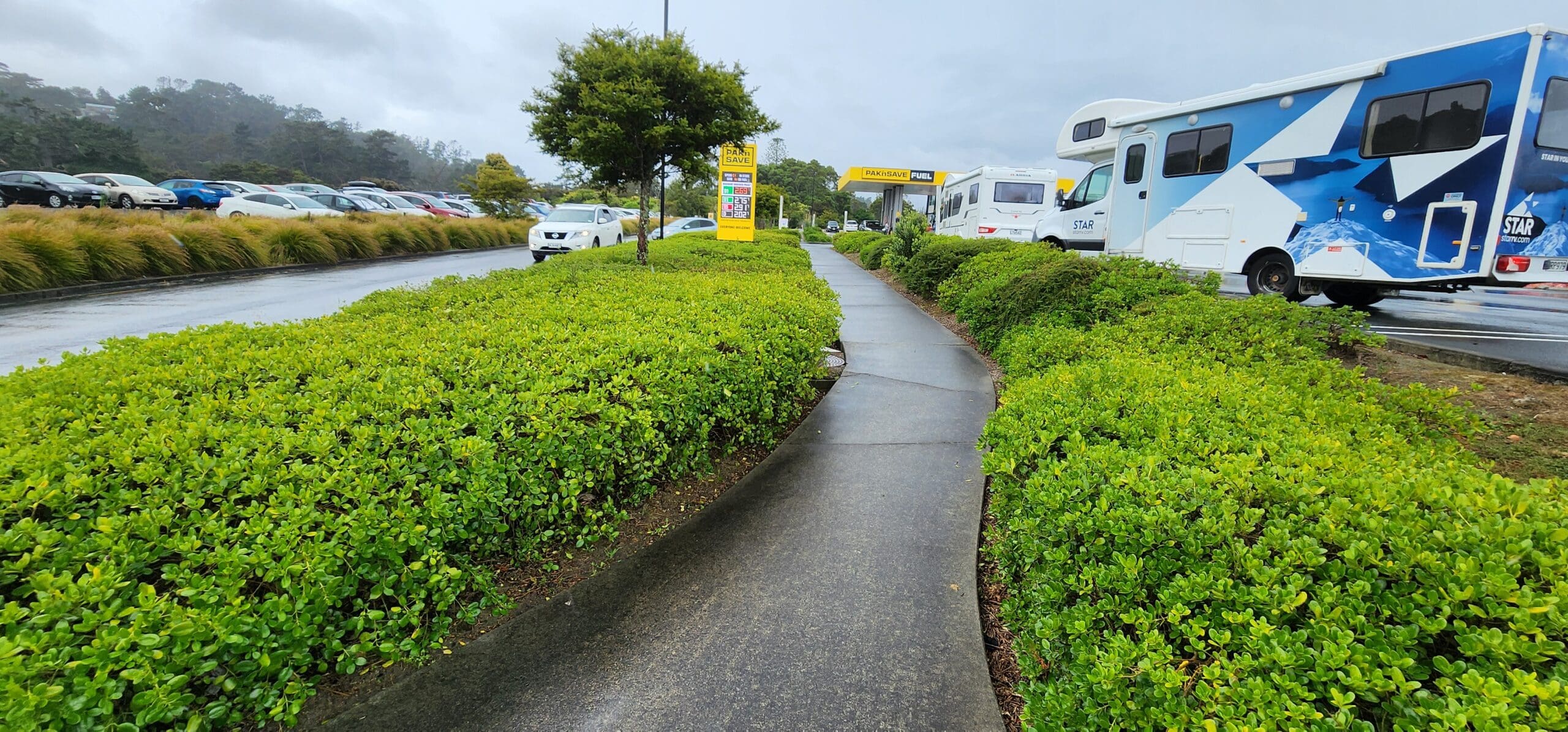Commercial hedge and garden maintenance beside a pedestrian path in Auckland