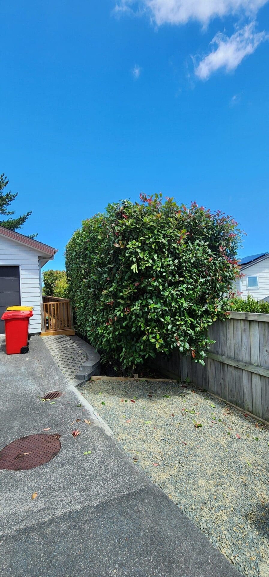 Range of Small Tree Services