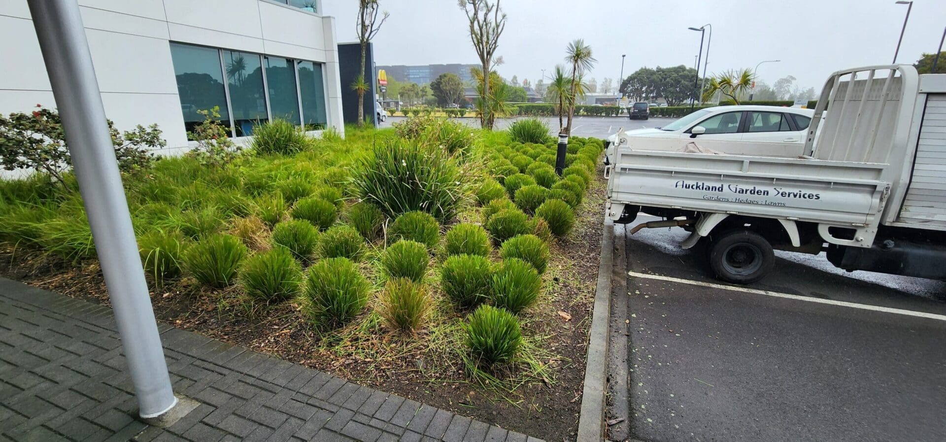 Commercial weed control Auckland