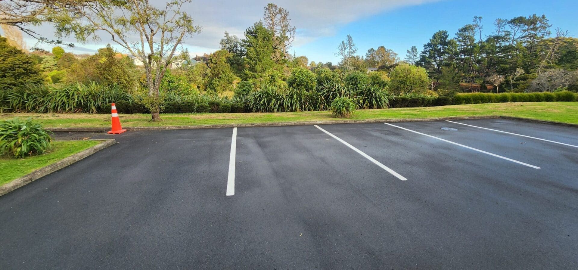 Maintained commercial car park landscaping in Auckland
