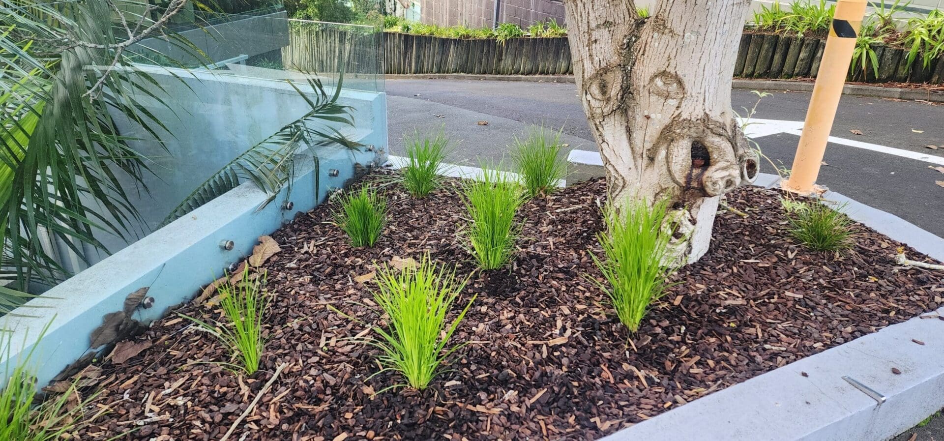 Example of a Soft Landscaping Garden Makeover