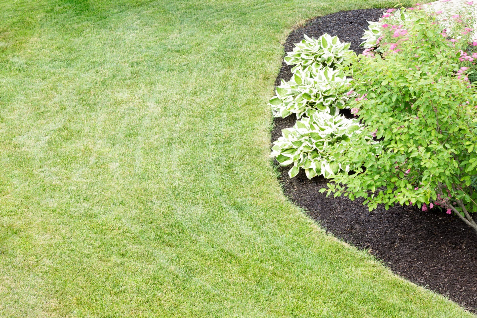Soft Landscaping Services Auckland