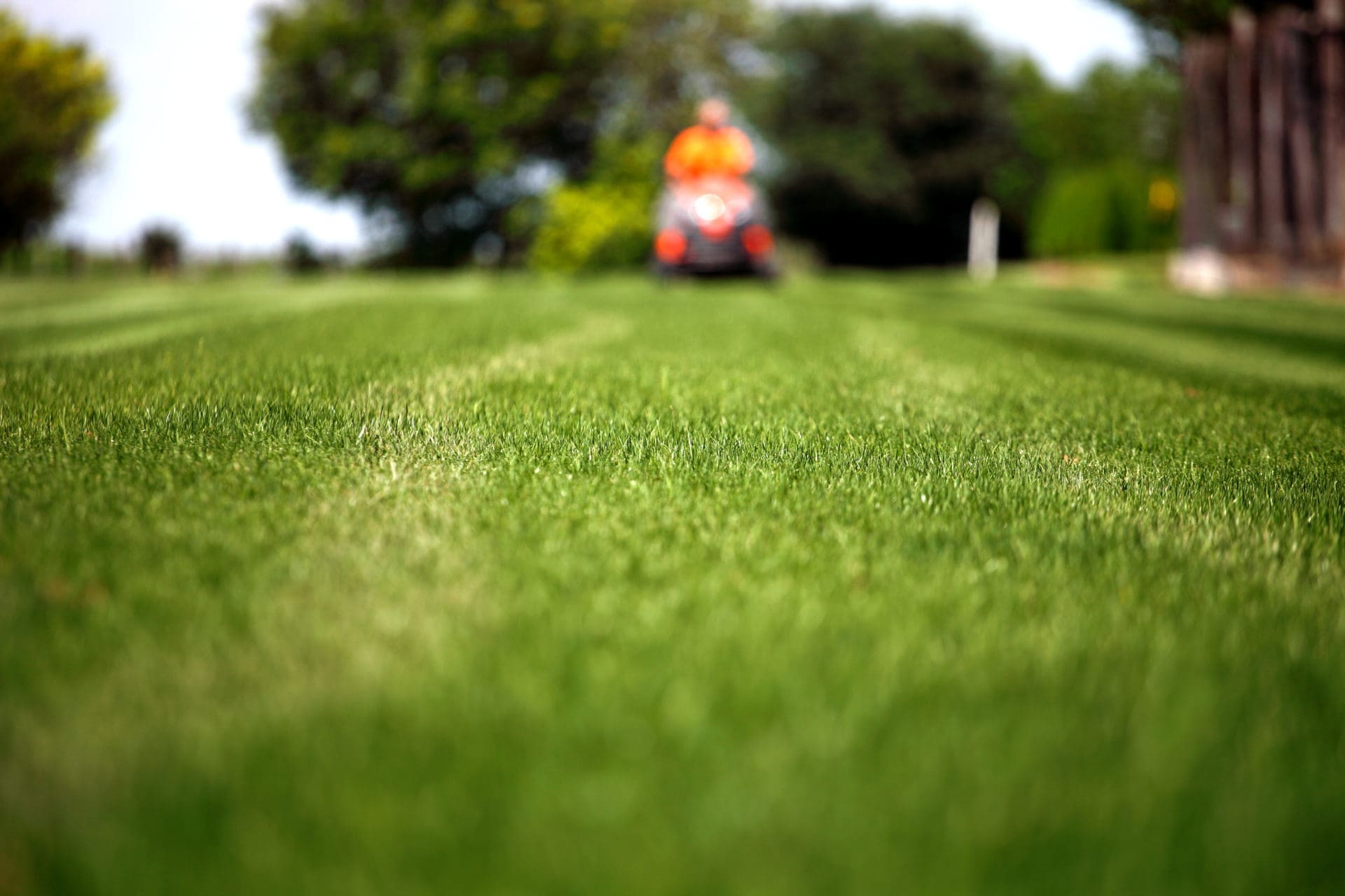 Commercial lawn mowing and grounds maintenance in Auckland